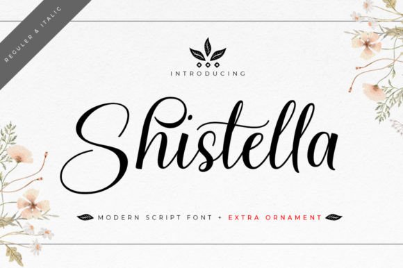 Shistella Font: A Marketer’s Secret Weapon for Eye-Catching Campaigns